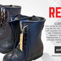 Luddan Grizzly