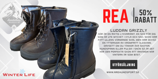 Luddan Grizzly