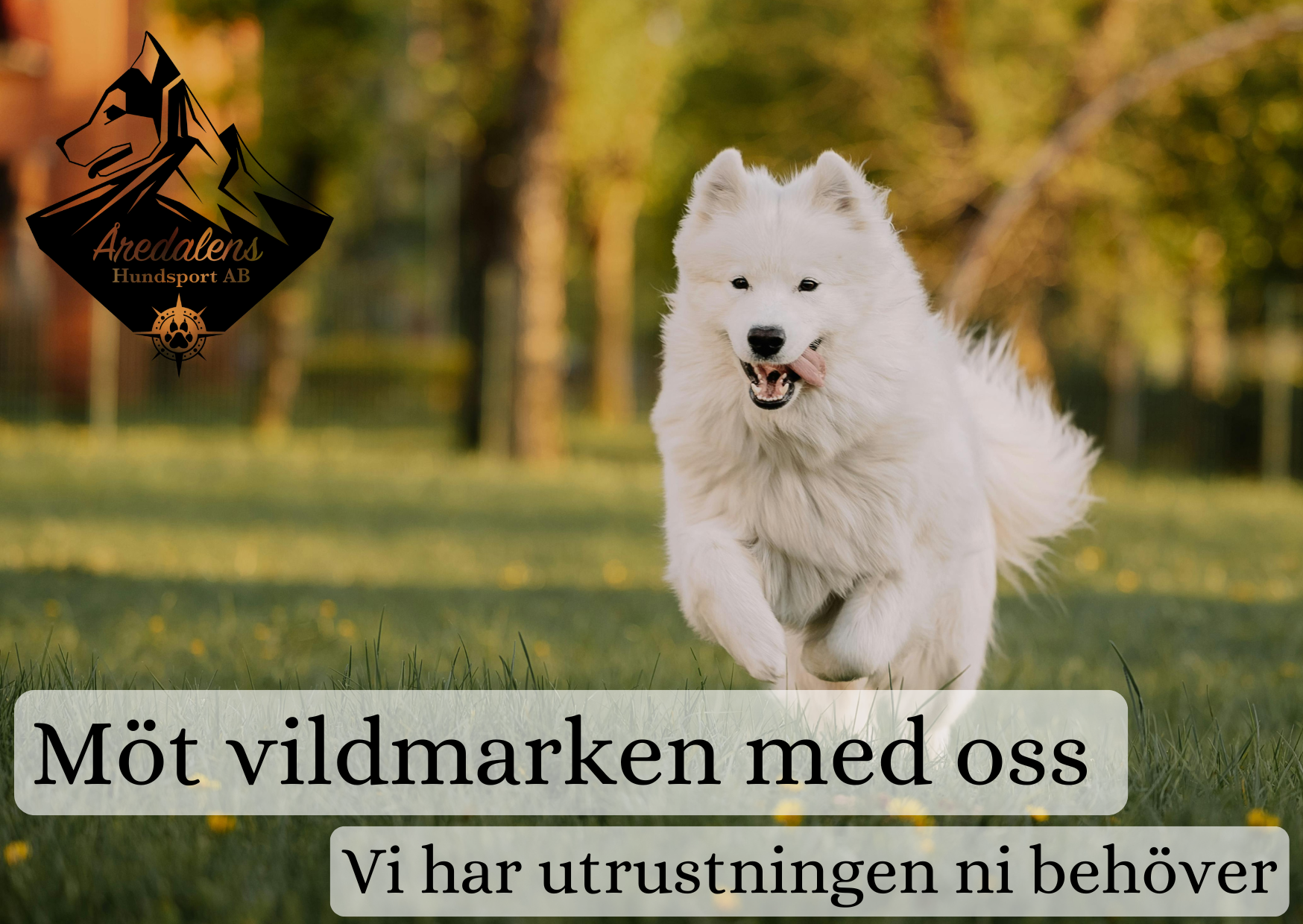 Famsida we vår