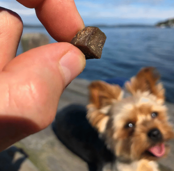 Svenskt Hundgodis - Promenad & Träning - Oxlunga - Bild 3