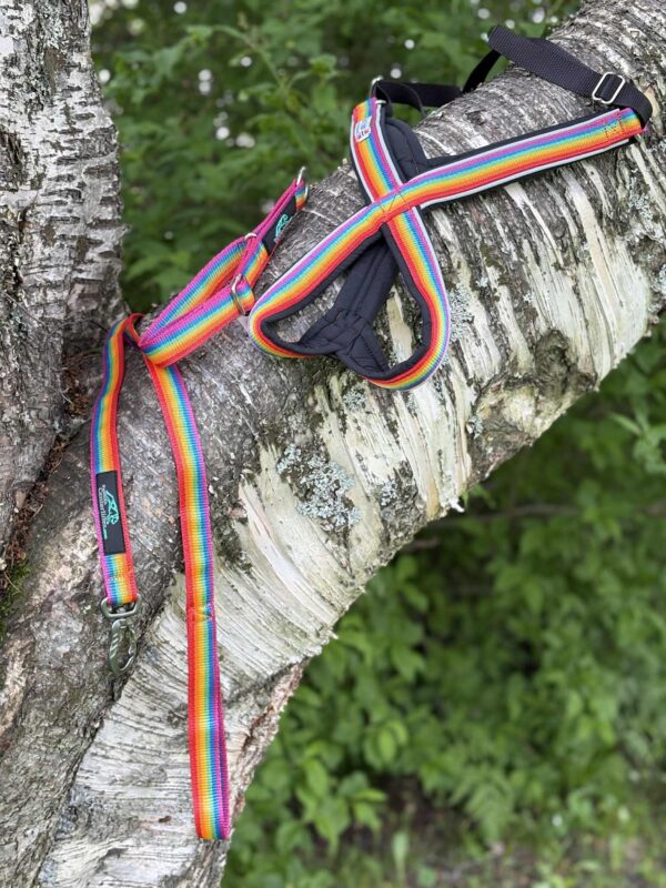 Huken Multisele kort stolpe REGNBÅGE - Bild 6