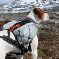 Trail light dog backpack