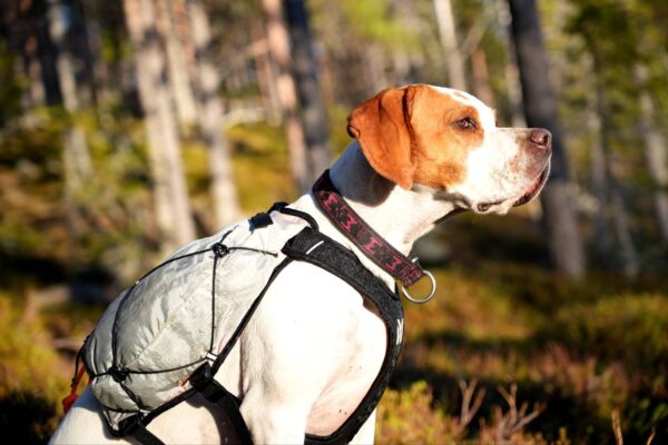 Trail light dog backpack - Bild 11