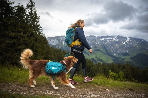 Trail quest dog backpack - Bild 5