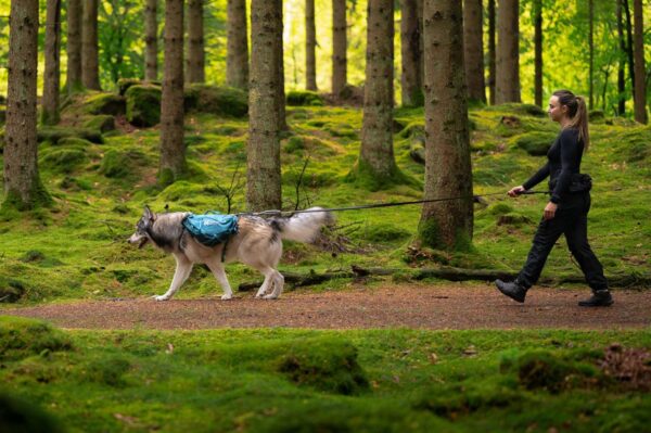 Trail quest dog backpack - Bild 4