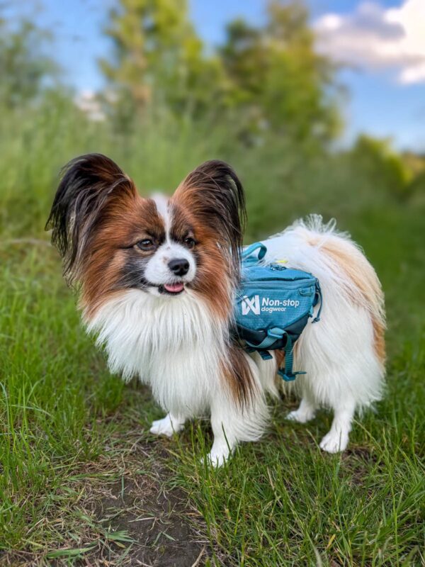 Trail quest dog backpack - Bild 2