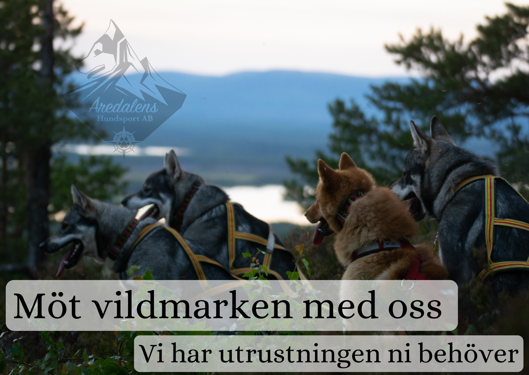 Kopia av Framsida web
