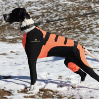 V.I.P. SNOW Protector