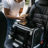 Portabel hundbur / väska – Dr. Olsson Skandinavia