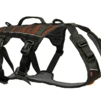 Nonstop Rock harness long